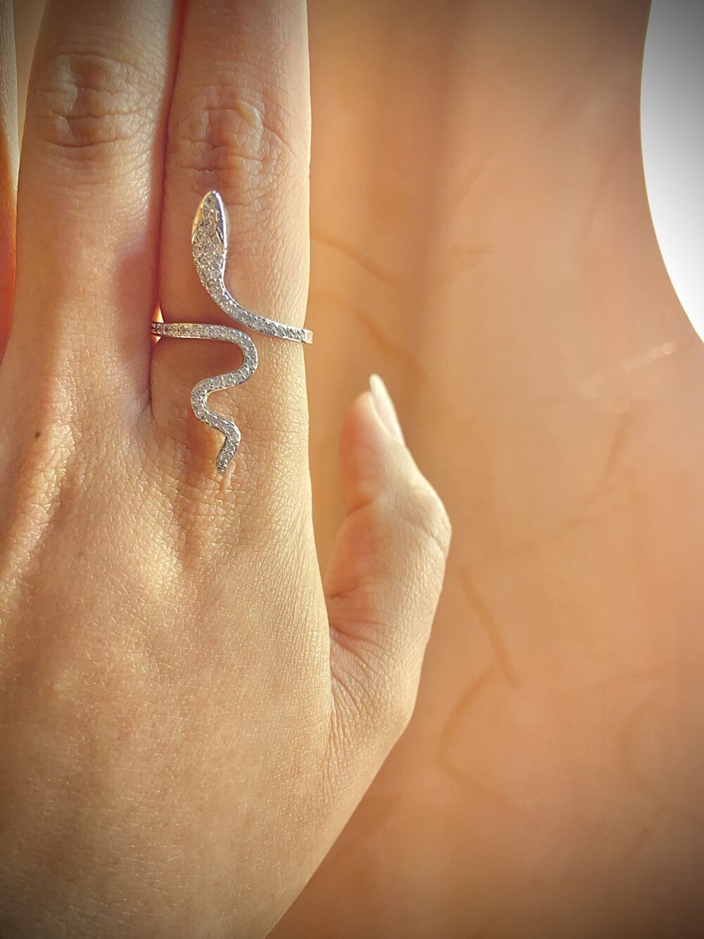 Bague Serpent Argentée